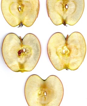body_apple_slices.jpg